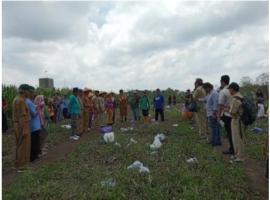 Panen Raya Perdana Lumbung Mataraman Piyaman, Wujud Desa Mandiri Pangan Gunungkidul