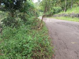 Talud Ambrol, Jalan Kabupaten Ruas Ngenep Petir Berisiko Amblas